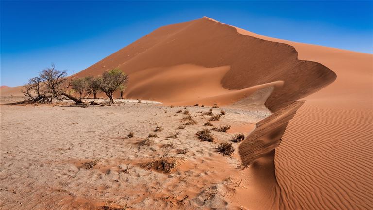 Impressionen Namibias und Südafrikas ©Mlenny/istock